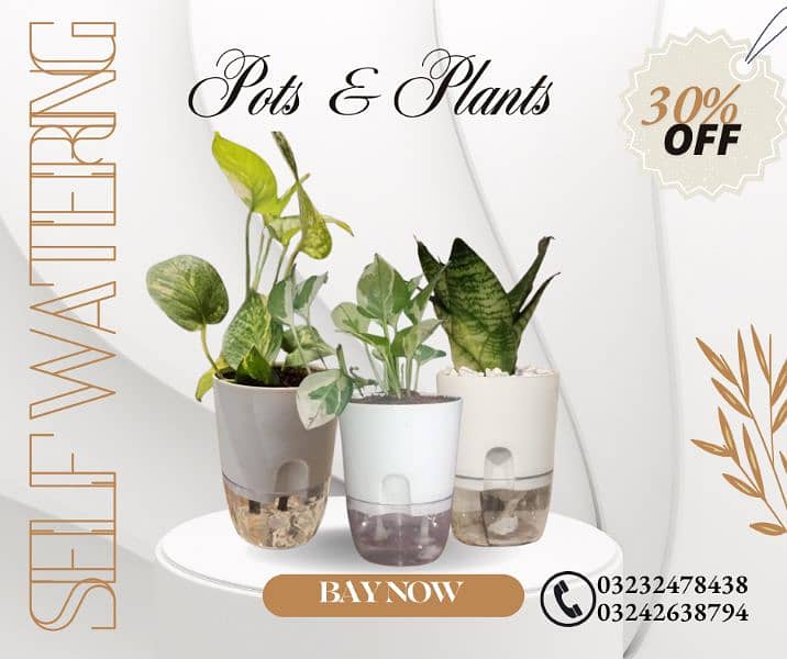 self watering pots and beautiful plants 3