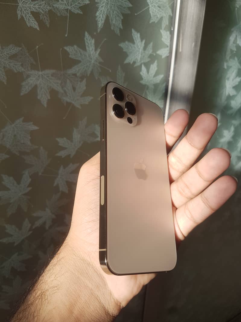 IPHONE 12 PRO JV - 256GB - GOLD 10