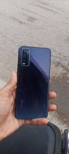 Vivo