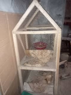 Birds hen cage for sale urgent