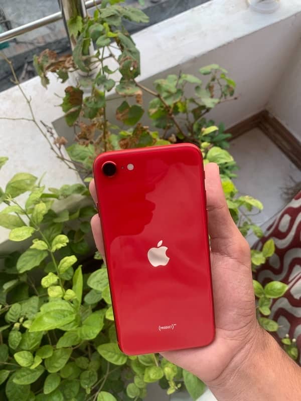 Iphone Se 2020 Non Pta Jv Watsapp 03044873819 1