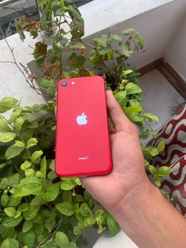 Iphone Se 2020 Non Pta Jv Watsapp 03044873819 4