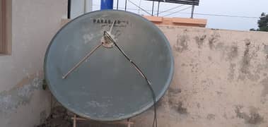 5 feet dish paras