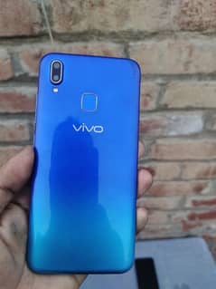 vivo