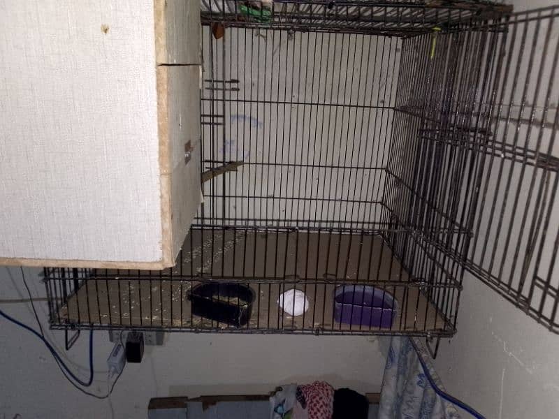 cage for sale ha 1