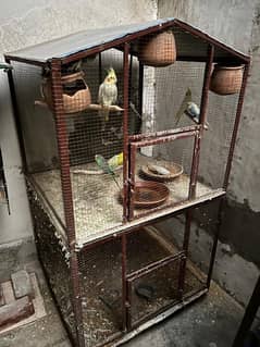 Birds Cage FOR SALE