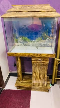 2 feet Aquarium