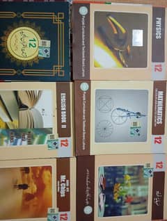 class 12 books All new edition 2024-25