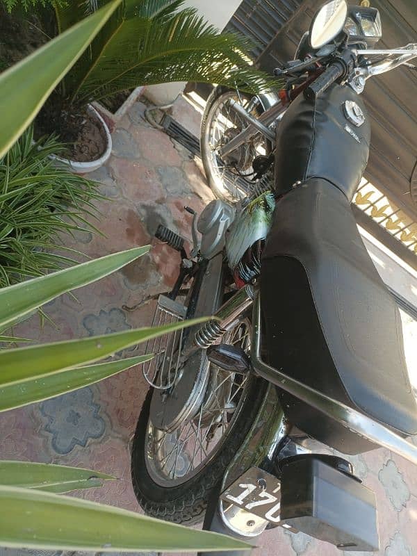 HONDA 125 urgent sale 1