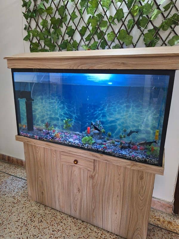 Aquarium for sale 4