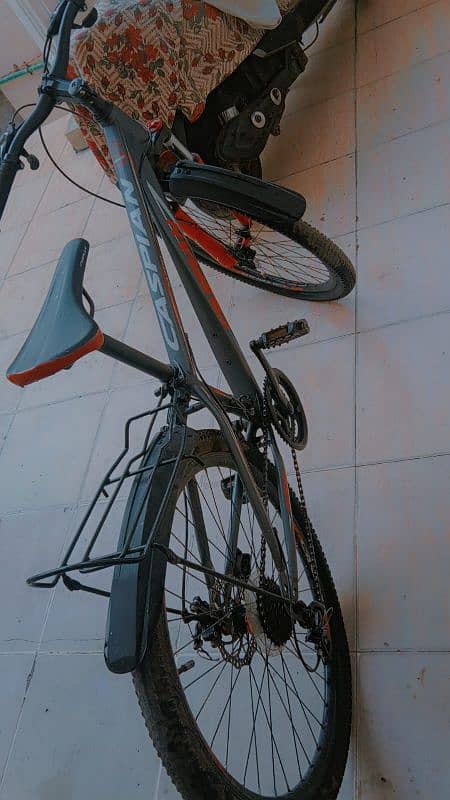 bicycle with gears 2