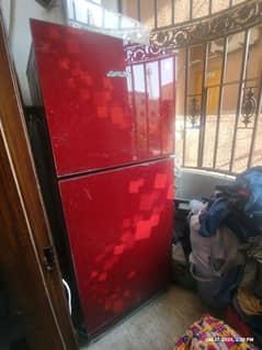 pel glass door fridge large