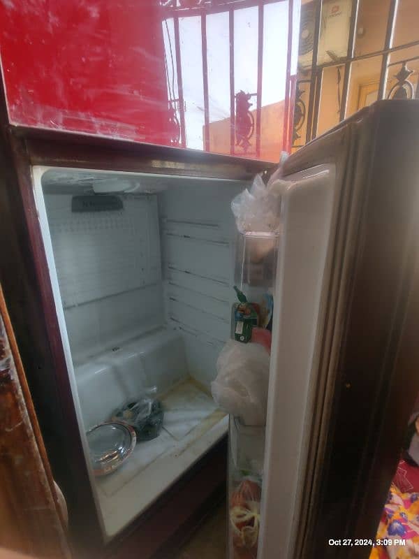 pel glass door fridge large 3