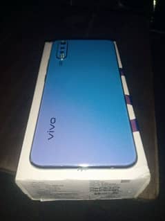 vivo