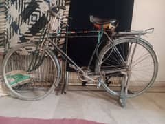 Cycle for sale