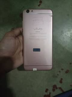 vivo all ok 0