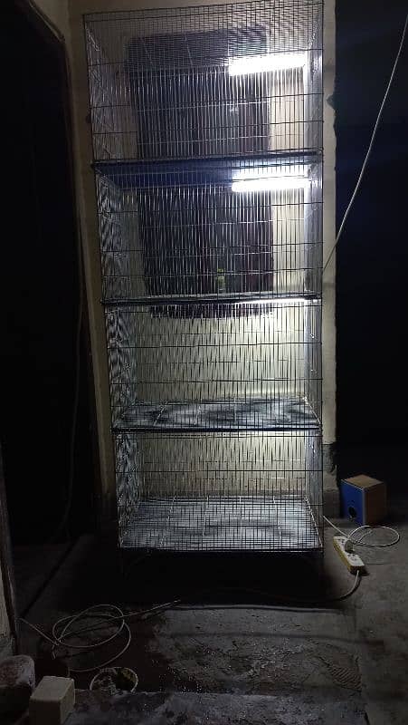 Birds Breading Cage 3