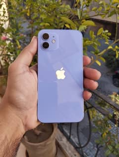 iPhone 12 64GB NON PTA Factory Unlock URGENT SALE 0