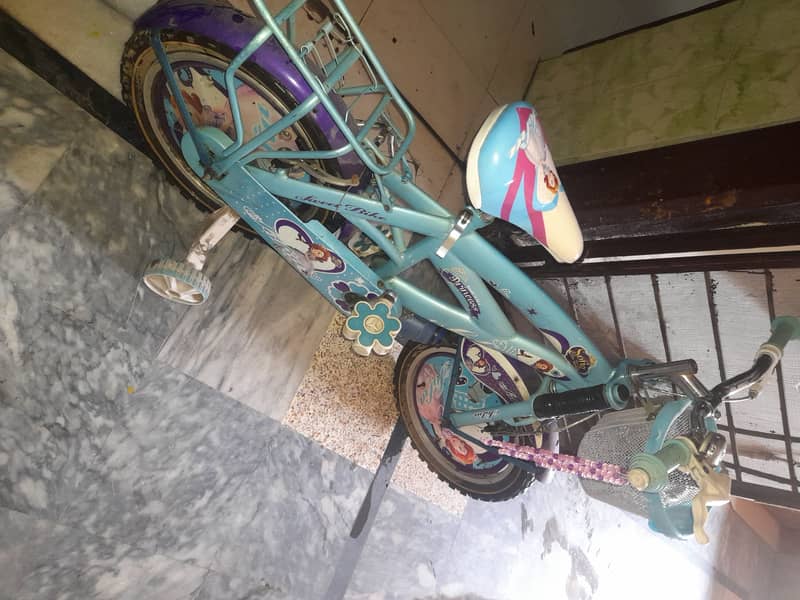 Kids bicycle 2