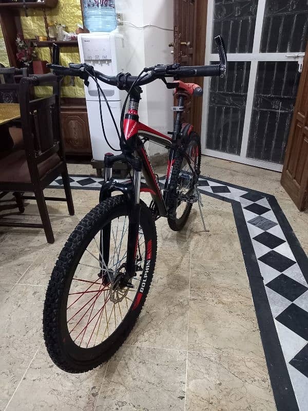 Sport World Dolphin River Mountain Bicycle 1