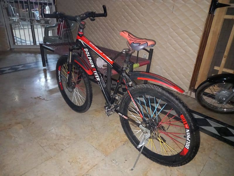 Sport World Dolphin River Mountain Bicycle 3