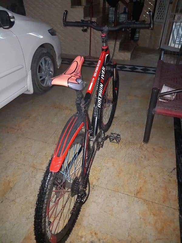 Sport World Dolphin River Mountain Bicycle 4