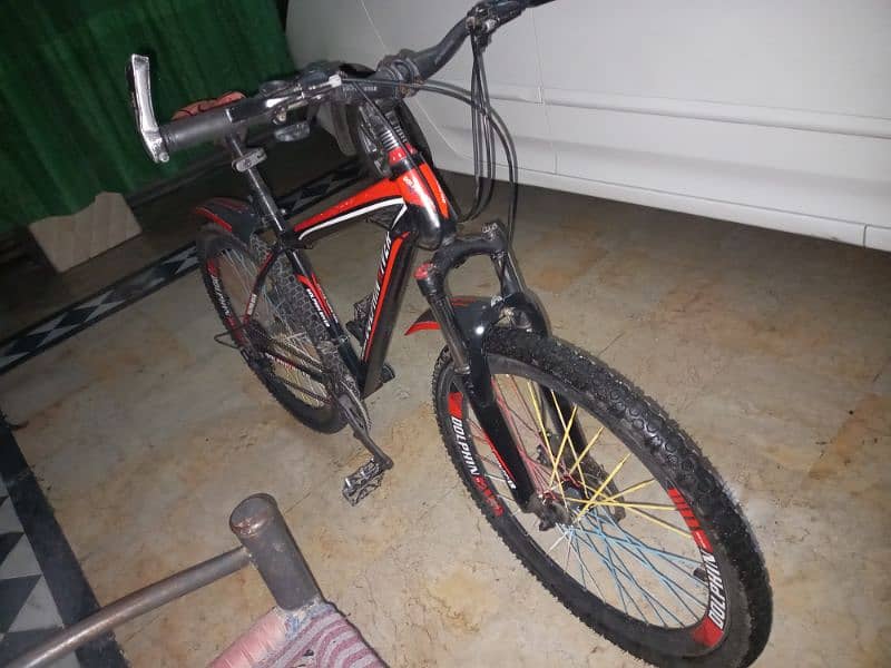 Sport World Dolphin River Mountain Bicycle 5