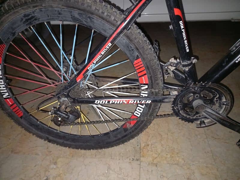 Sport World Dolphin River Mountain Bicycle 7