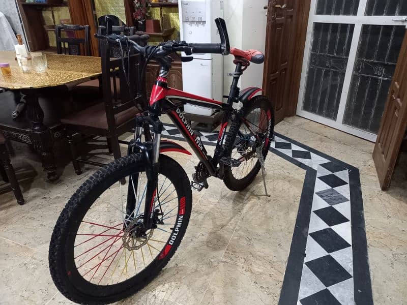 Sport World Dolphin River Mountain Bicycle 9