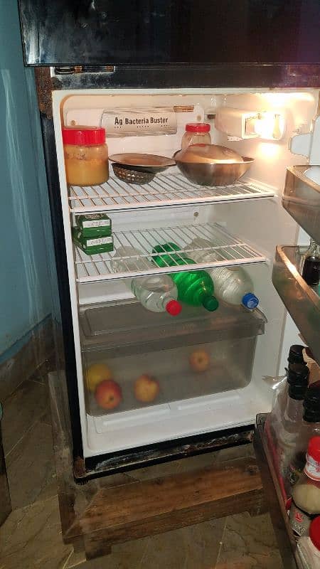 PEL fridge 7