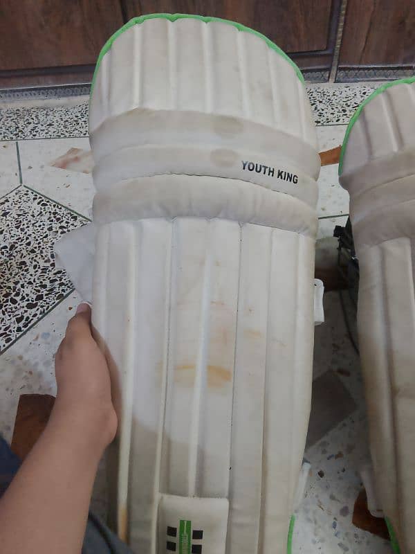 cricket kit 2