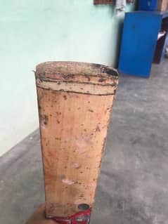 Hs Cricket Bat