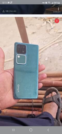 vivo