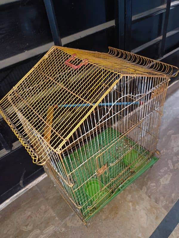 parrot cage 1