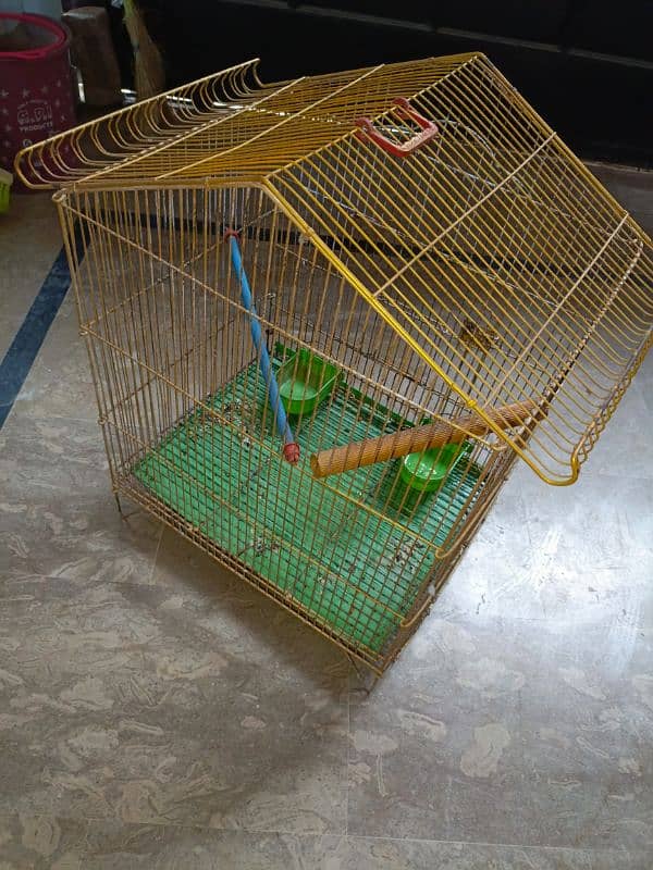 parrot cage 3