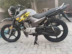 yahama YBR 125g