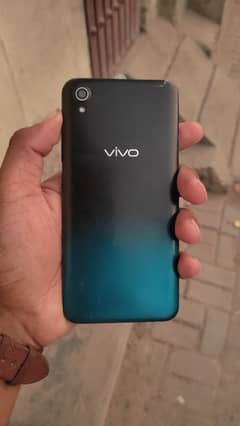 Vivo