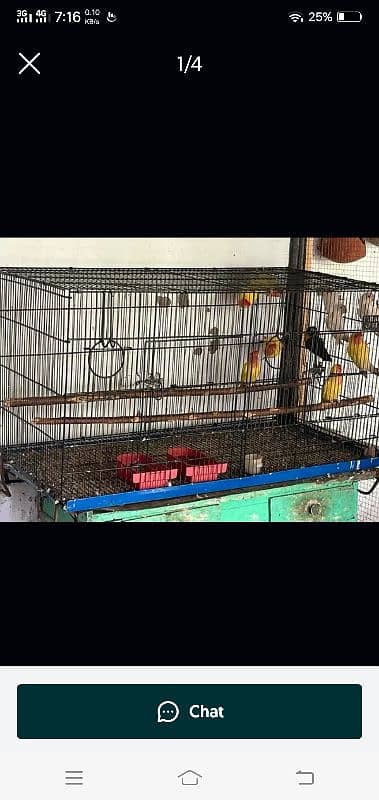 3 portion cage per portion 3000/- & 3 front 1.5x1.5 0