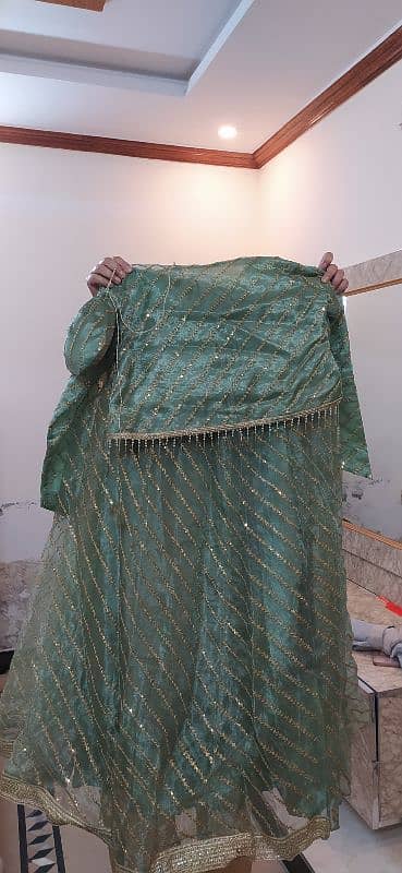 beautiful lehnga 0