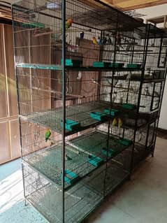 lovebird birds parrotused cages available. pinjra