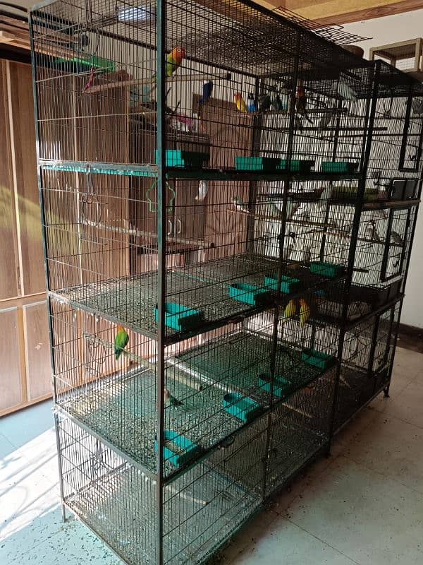 lovebird birds parrotused cages available. pinjra 1