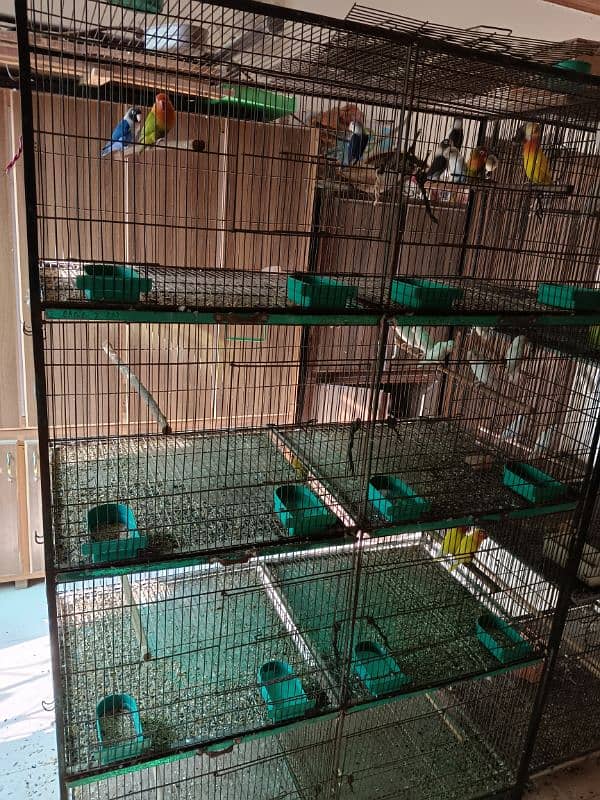 lovebird birds parrotused cages available. pinjra 2