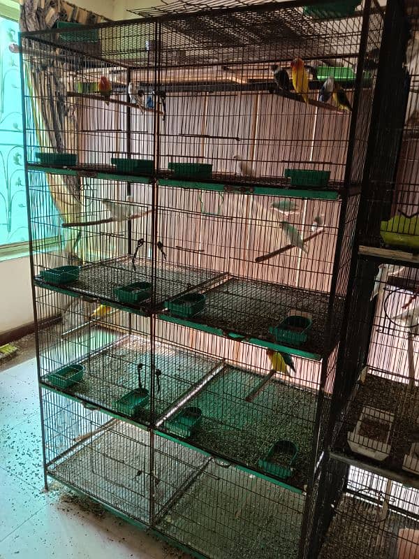 lovebird birds parrotused cages available. pinjra 3