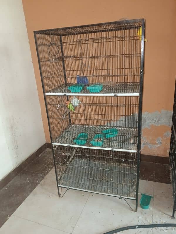 lovebird birds parrotused cages available. pinjra 4