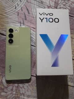 Vivo Y100 (8/256gb)