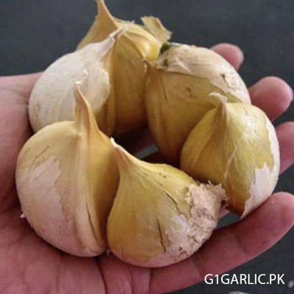 NARC G1 GARLIC AVAILABLE 1