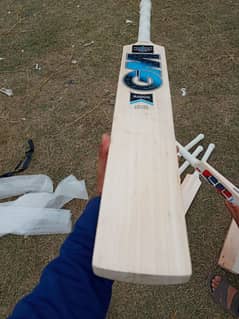 Cricket Bat