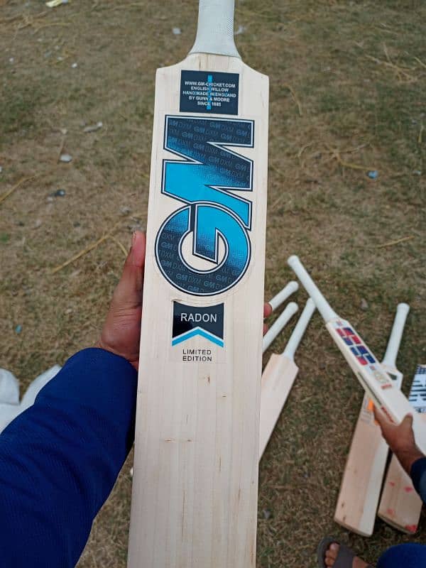 Cricket Bat 2