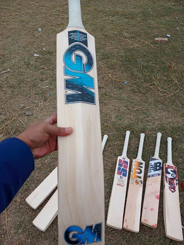 Cricket Bat 3