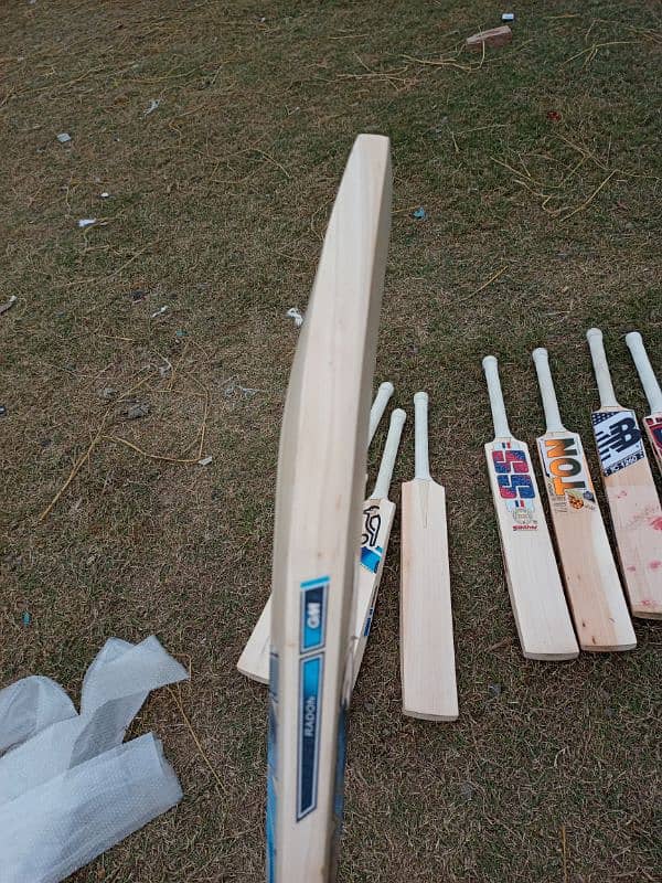 Cricket Bat 4